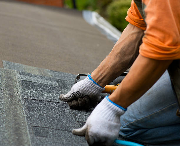 Best Storm Damage Roof Repair  in Bellair Meadowbrook Terrace, FL